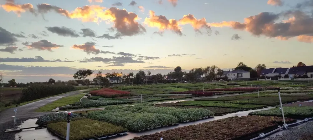 Vente plantes aux professionnels près de Paris