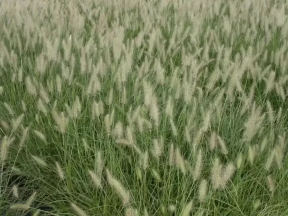 280
