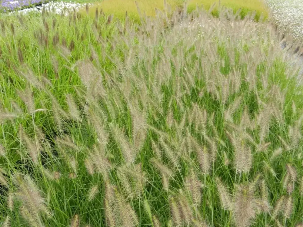 288