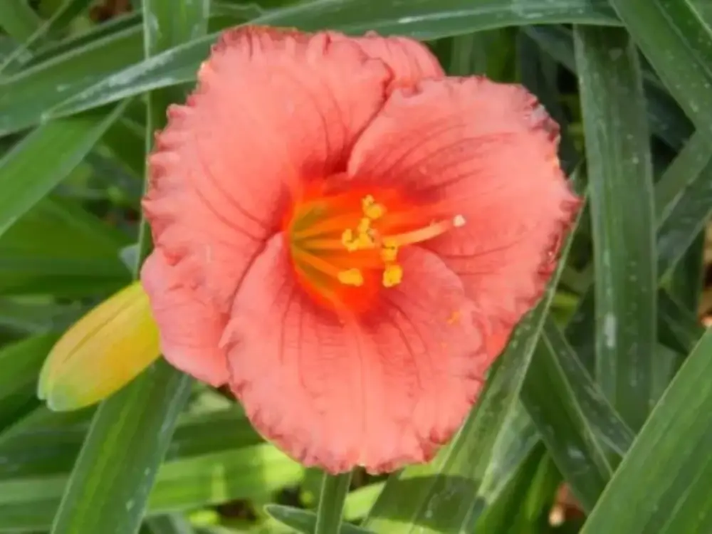 118