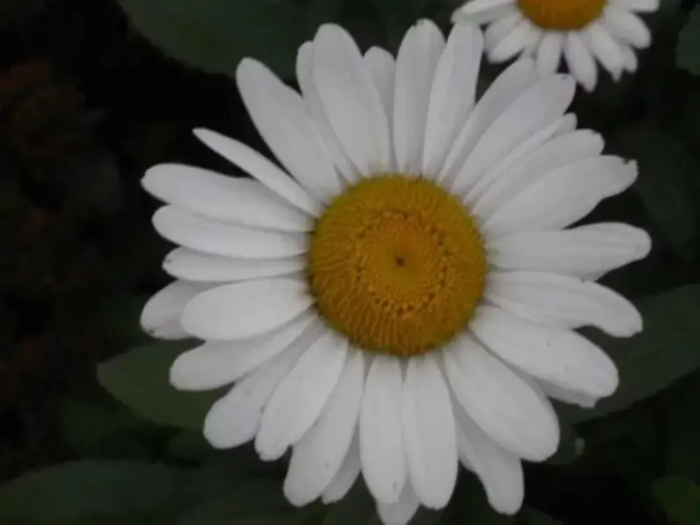 160